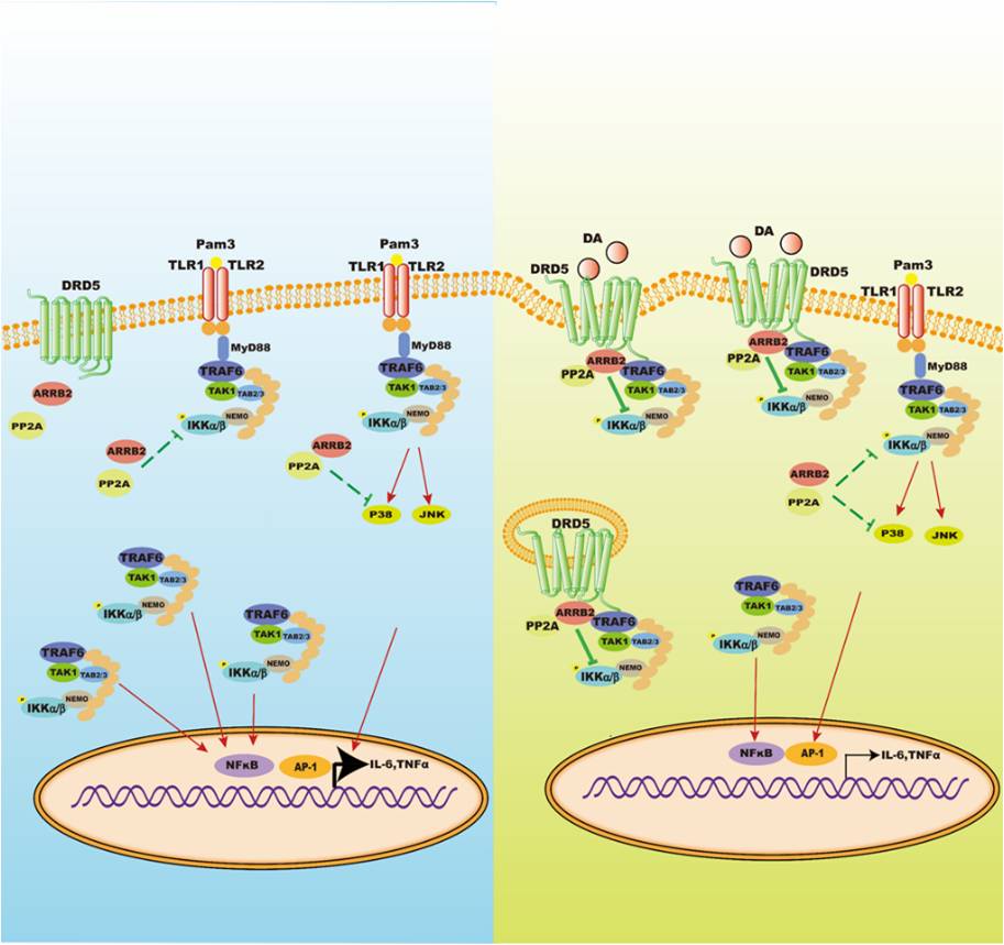 2020.6.1.jpg 2020.6.1.jpg